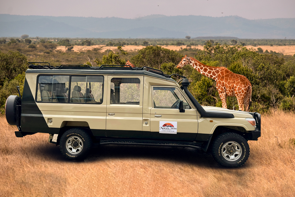 Majestic Wins safari vehicle
