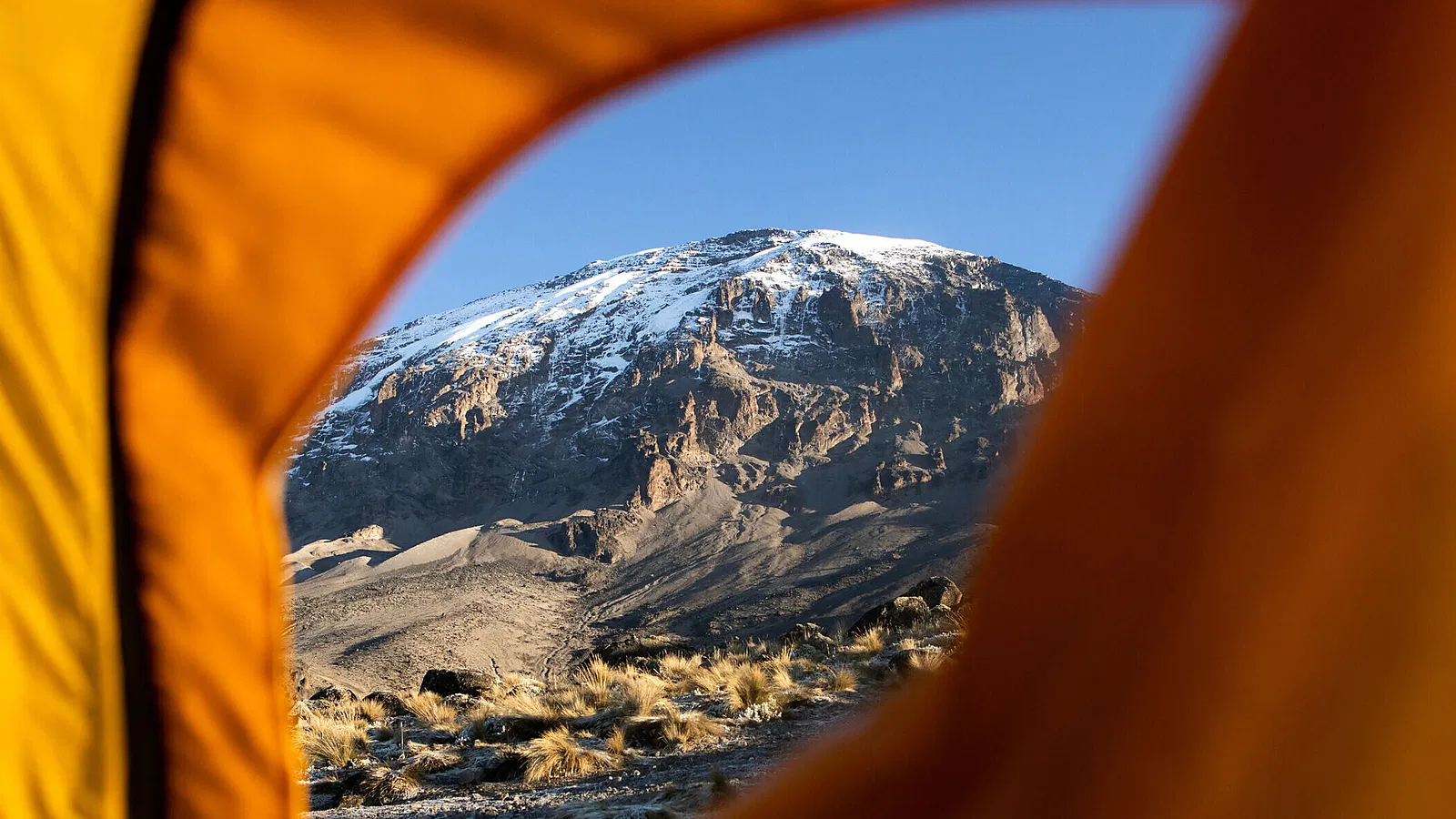 1 Day Kilimanjaro Londorosi Gate and Lemosho Rainforest Hike