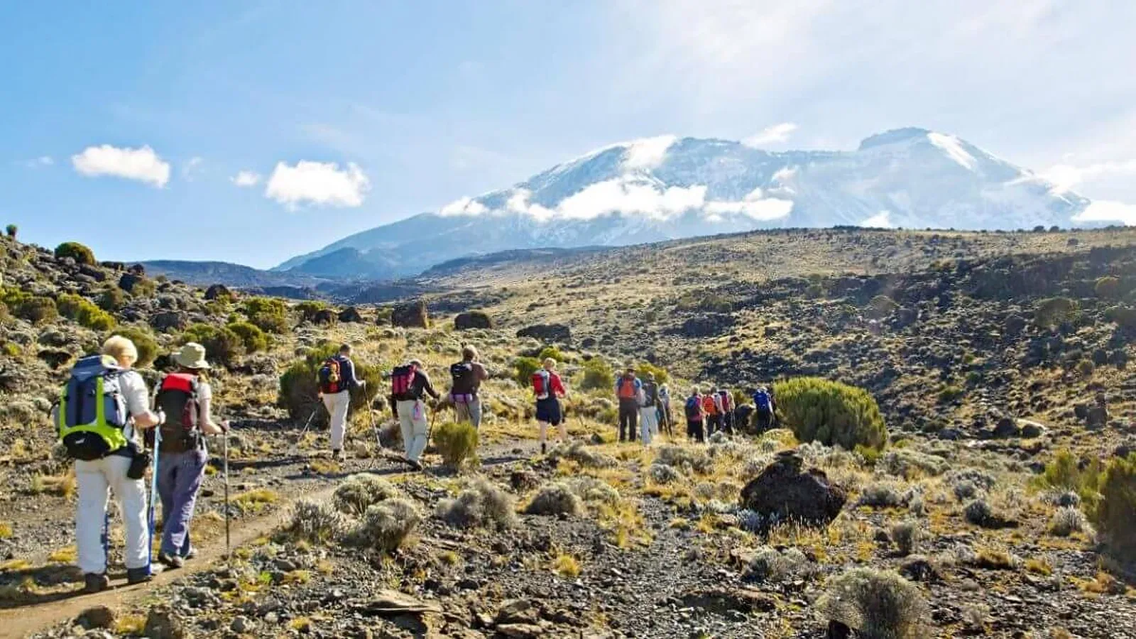 1 Day Kilimanjaro Machame Route Rainforest Hike from Moshi
