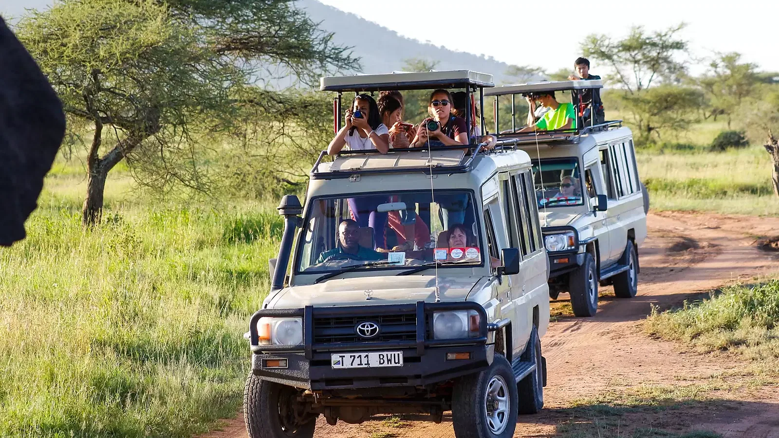 10 Days Family Tanzania Safari 2026 to 2027: Tarangire Serengeti Ngorongoro