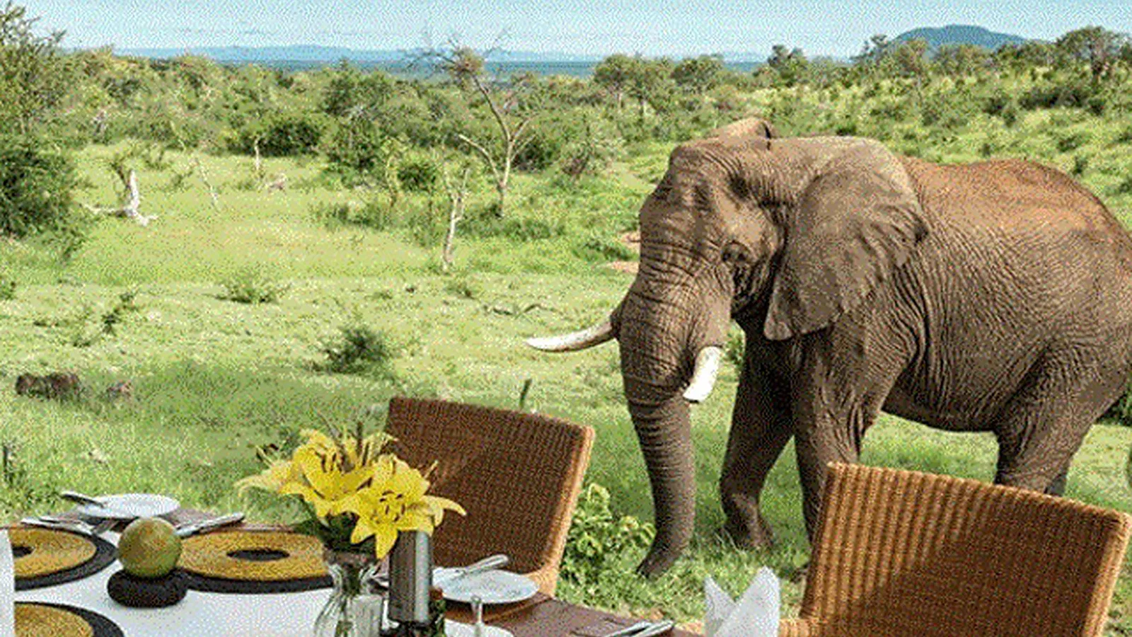 10 Days Midrange Lodge Tanzania Safari 2026 to 2027: Arusha Tarangire Serengeti