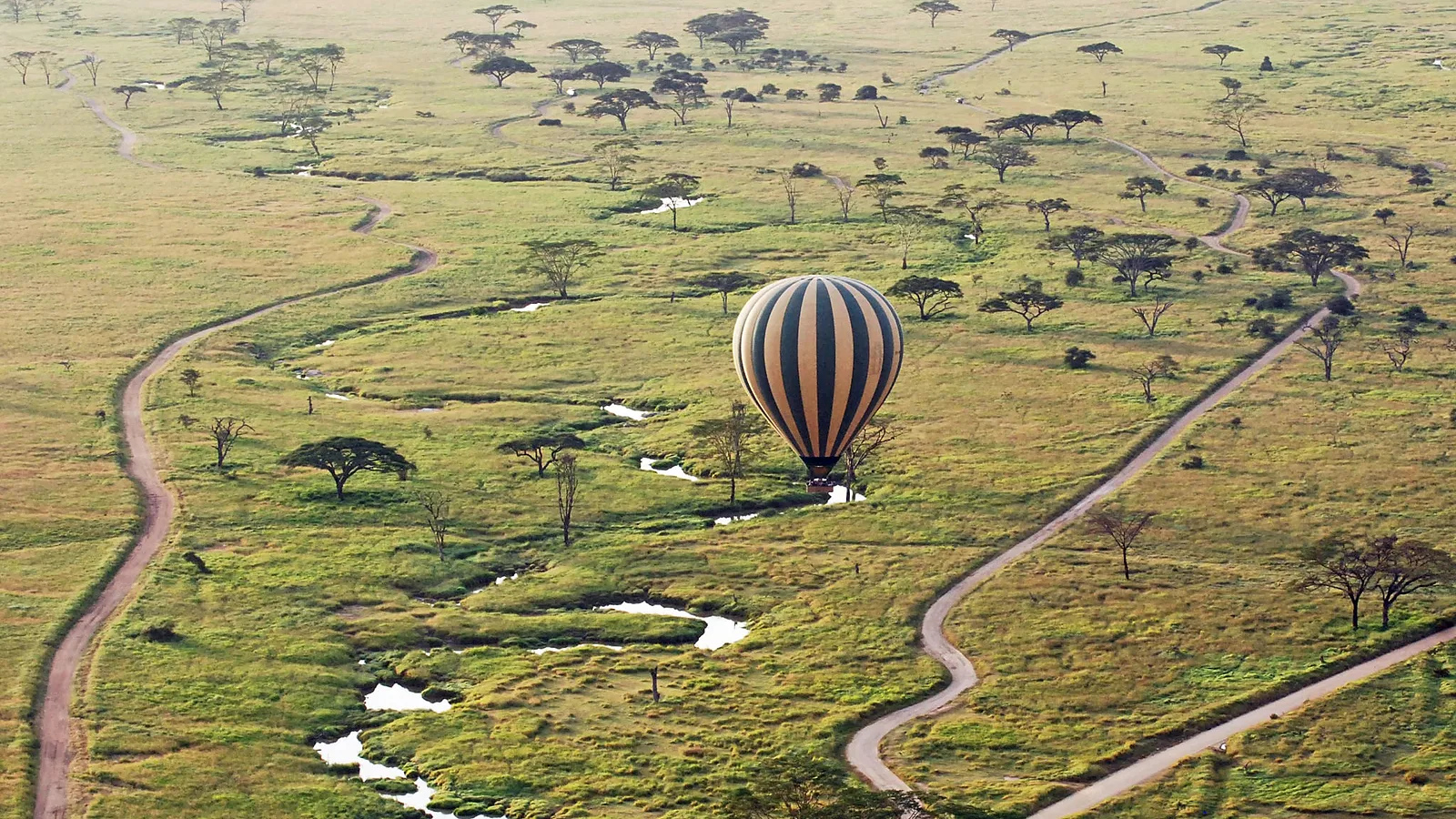 11 Days Great Migration Tanzania Safari 2026 to 2027: Tarangire Ngorongoro