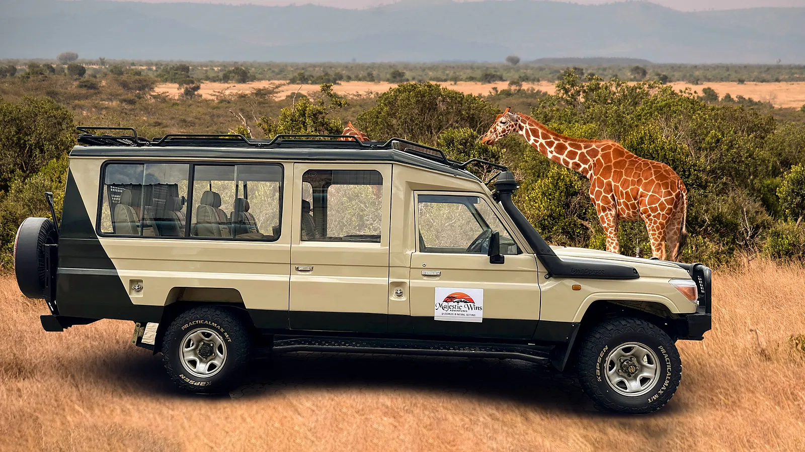 11 Days Private Tanzania Safari 2026 to 2027: Tarangire Lake Manyara Ngorongoro