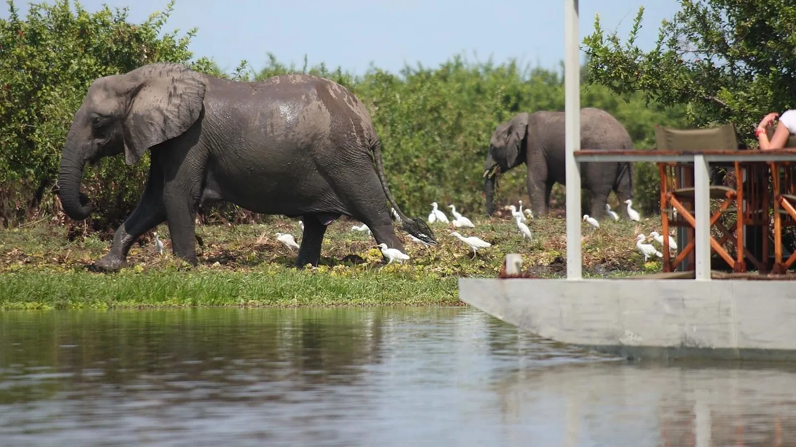 12 Days Midrange Lodge Tanzania Safari 2026 to 2027: Lake Manyara Serengeti Ngorongoro