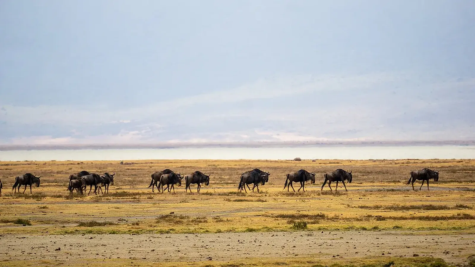 12 Days Private Safari and Zanzibar Package 2026 to 2027