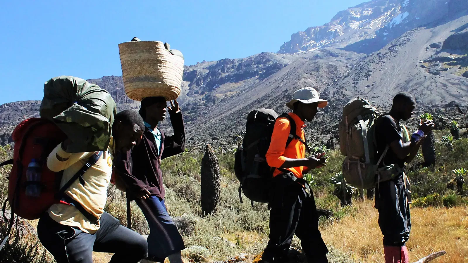 13 Days Kilimanjaro and Safari Package 2026 to 2027