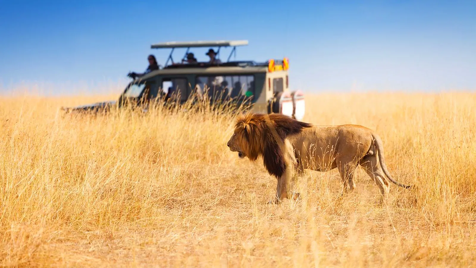 14 Days Safari and Zanzibar Package 2026 to 2027
