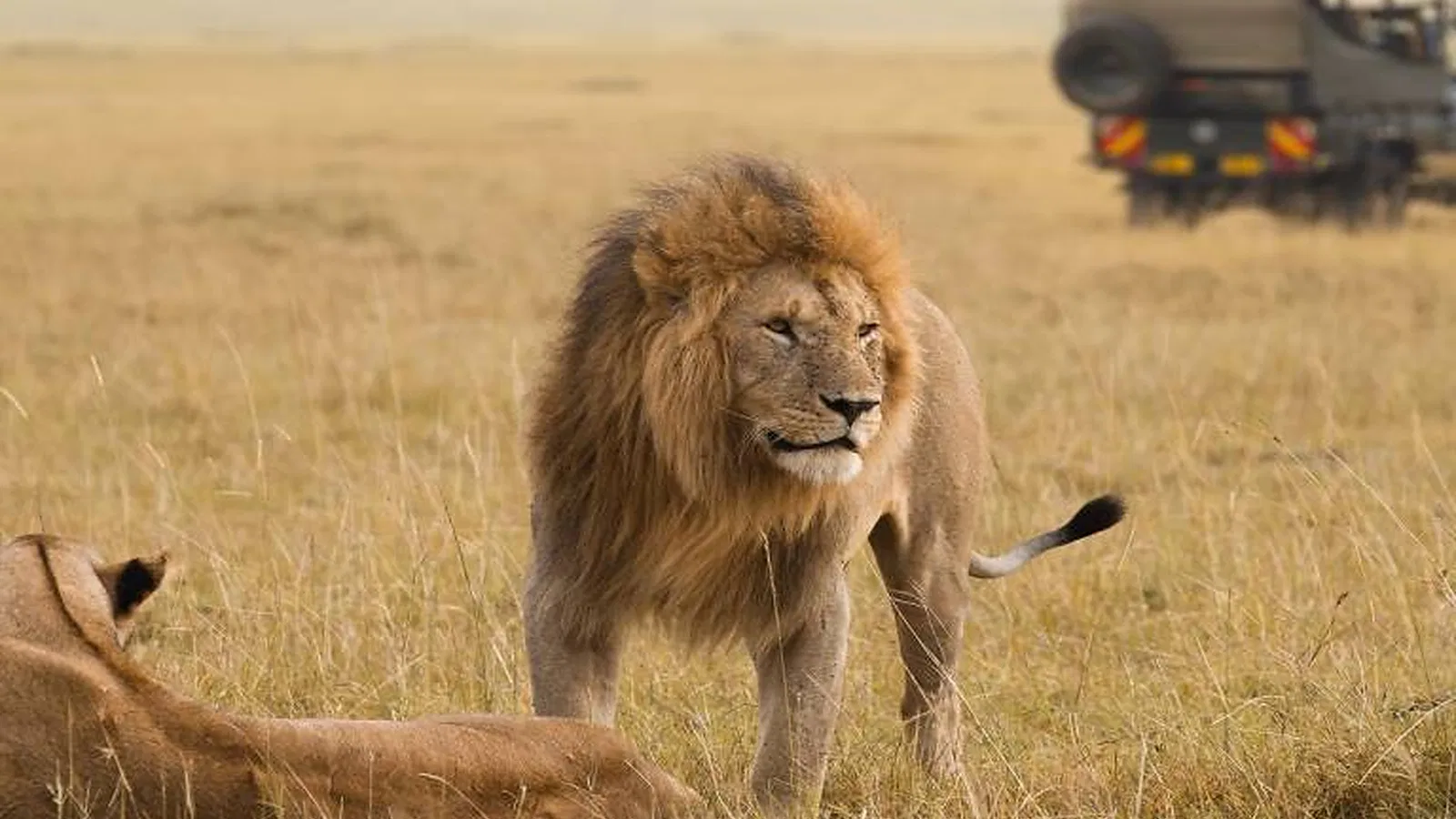 14 Days Tanzania Photography and Nature Lovers Semi Luxury Safari 2027