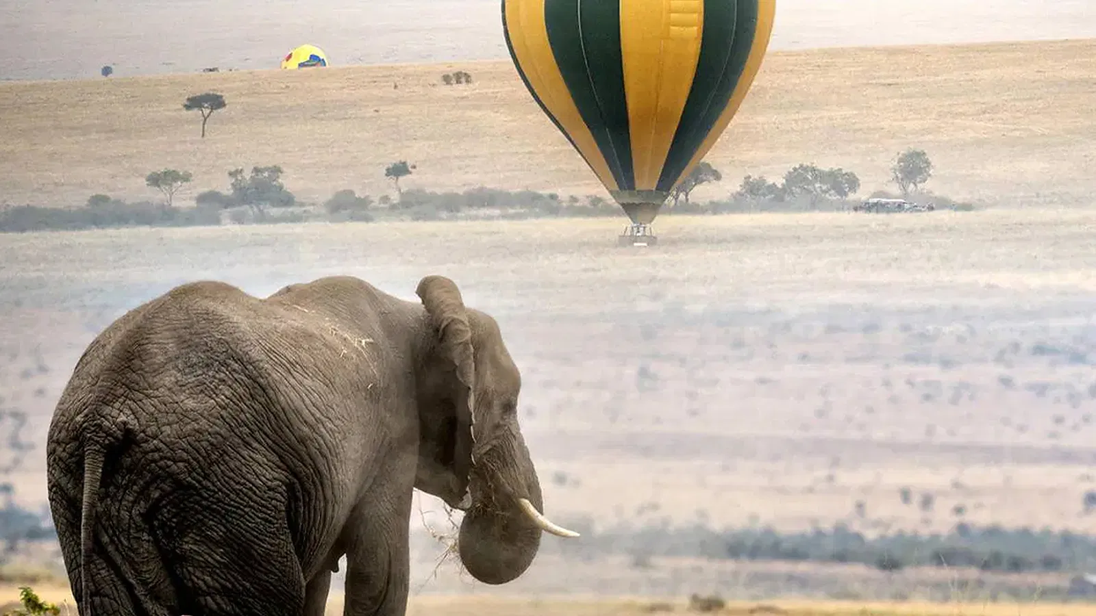 15 Days Private Safari and Zanzibar Package 2026 to 2027
