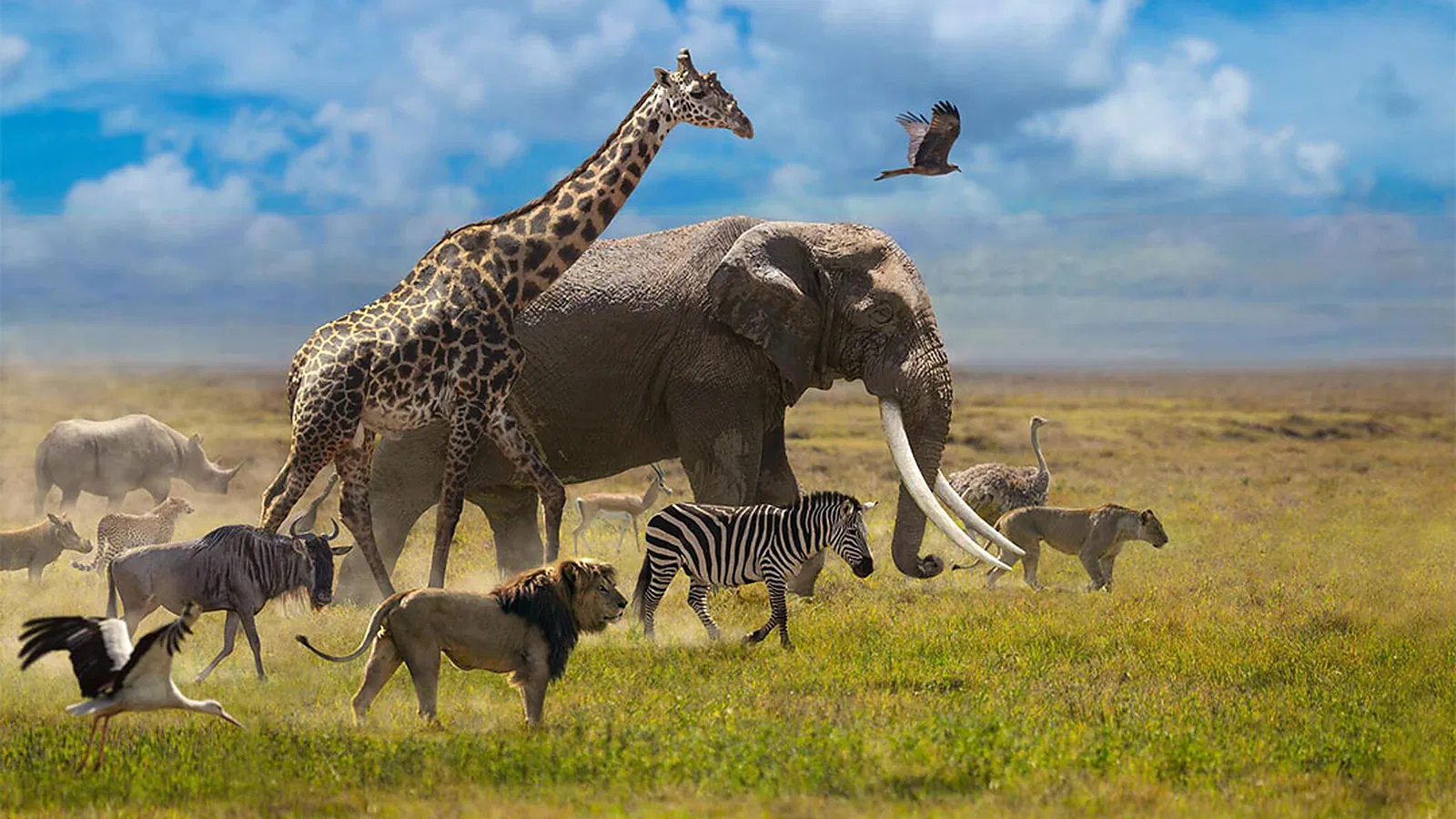 19 Days Safari and Zanzibar Package 2026 to 2027