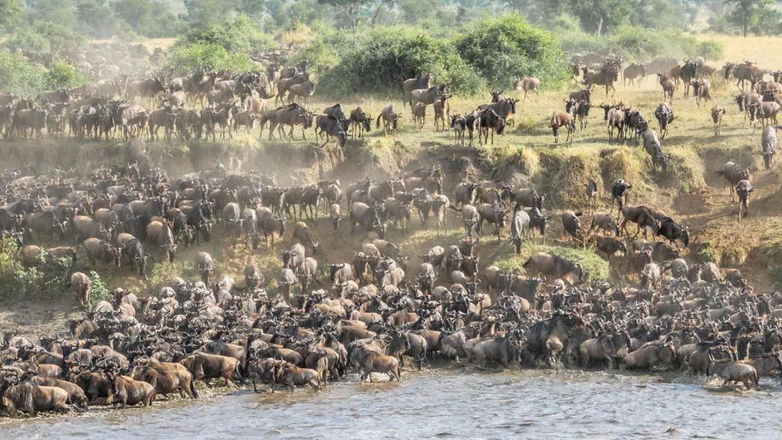 2 Days Great Migration Tanzania Safari 2026 to 2027: Lake Eyasi Ngorongoro Serengeti