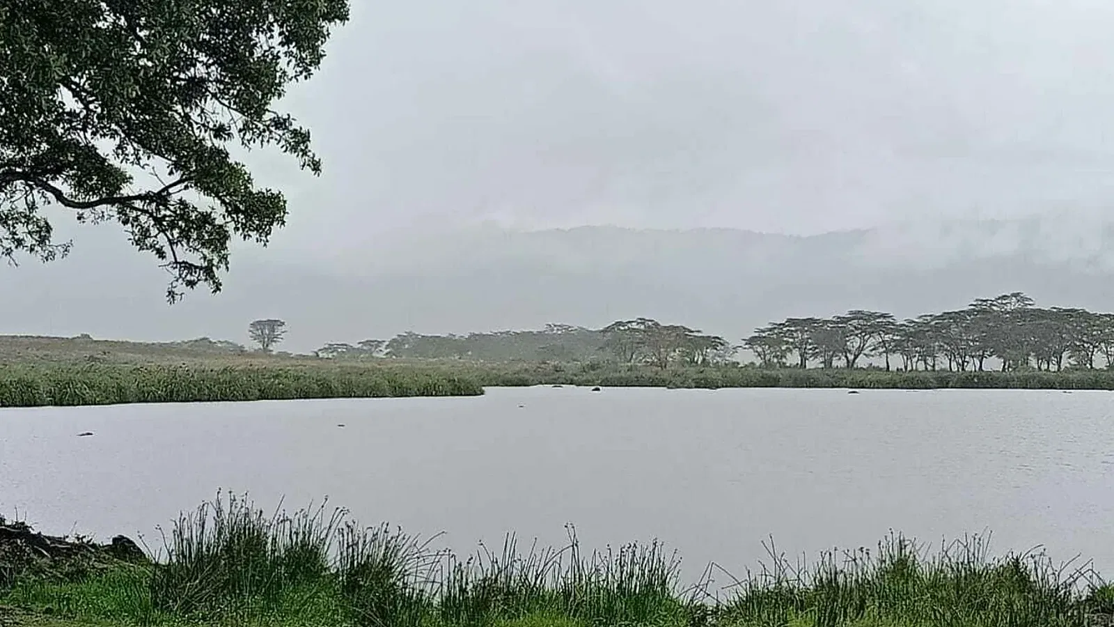 3 Days Budget Camping Tanzania Safari 2026 to 2027: Tarangire Lake Manyara Ngorongoro