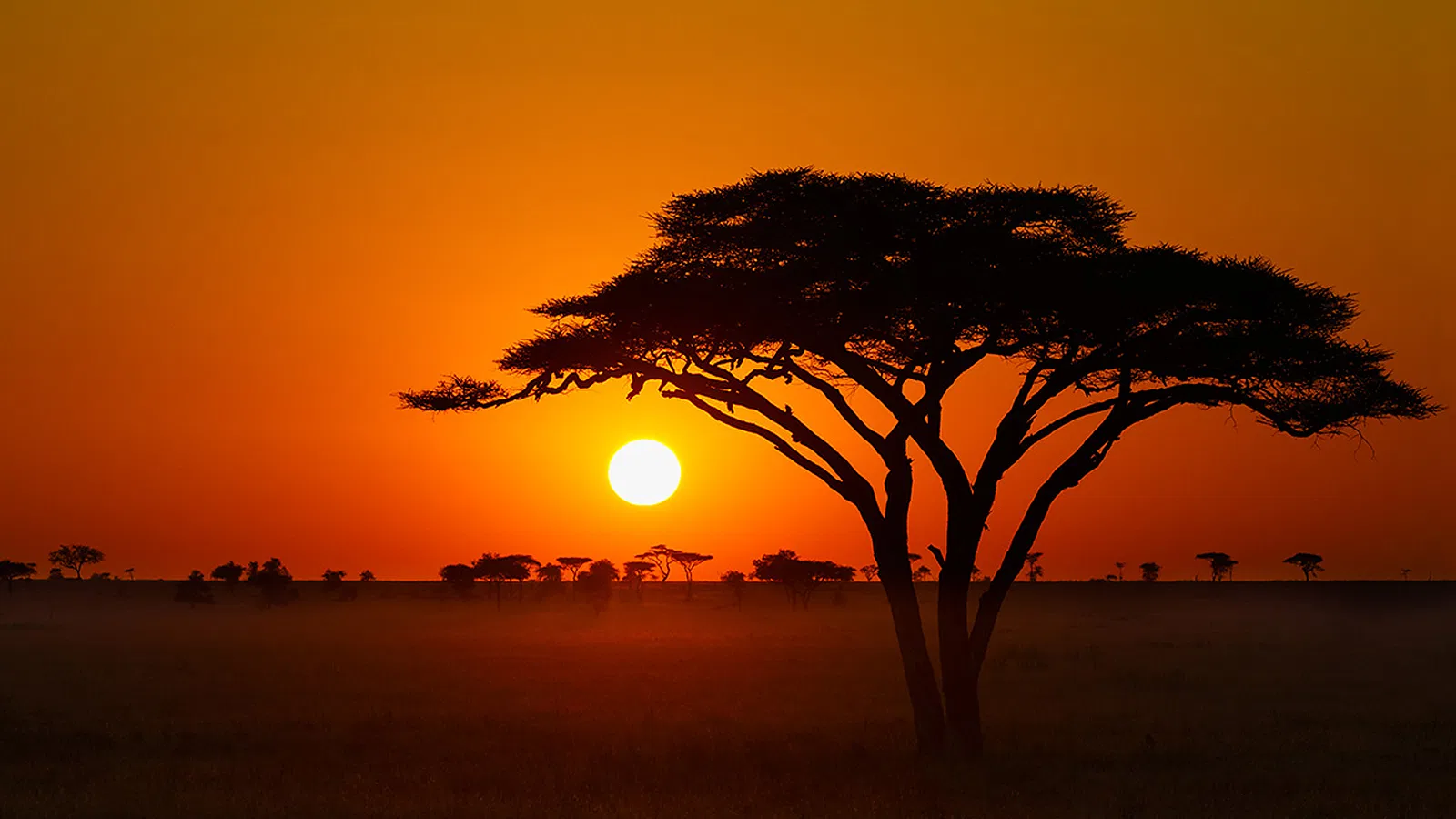 4 Days Midrange Lodge Tanzania Safari 2026 to 2027: Tarangire Serengeti Ngorongoro