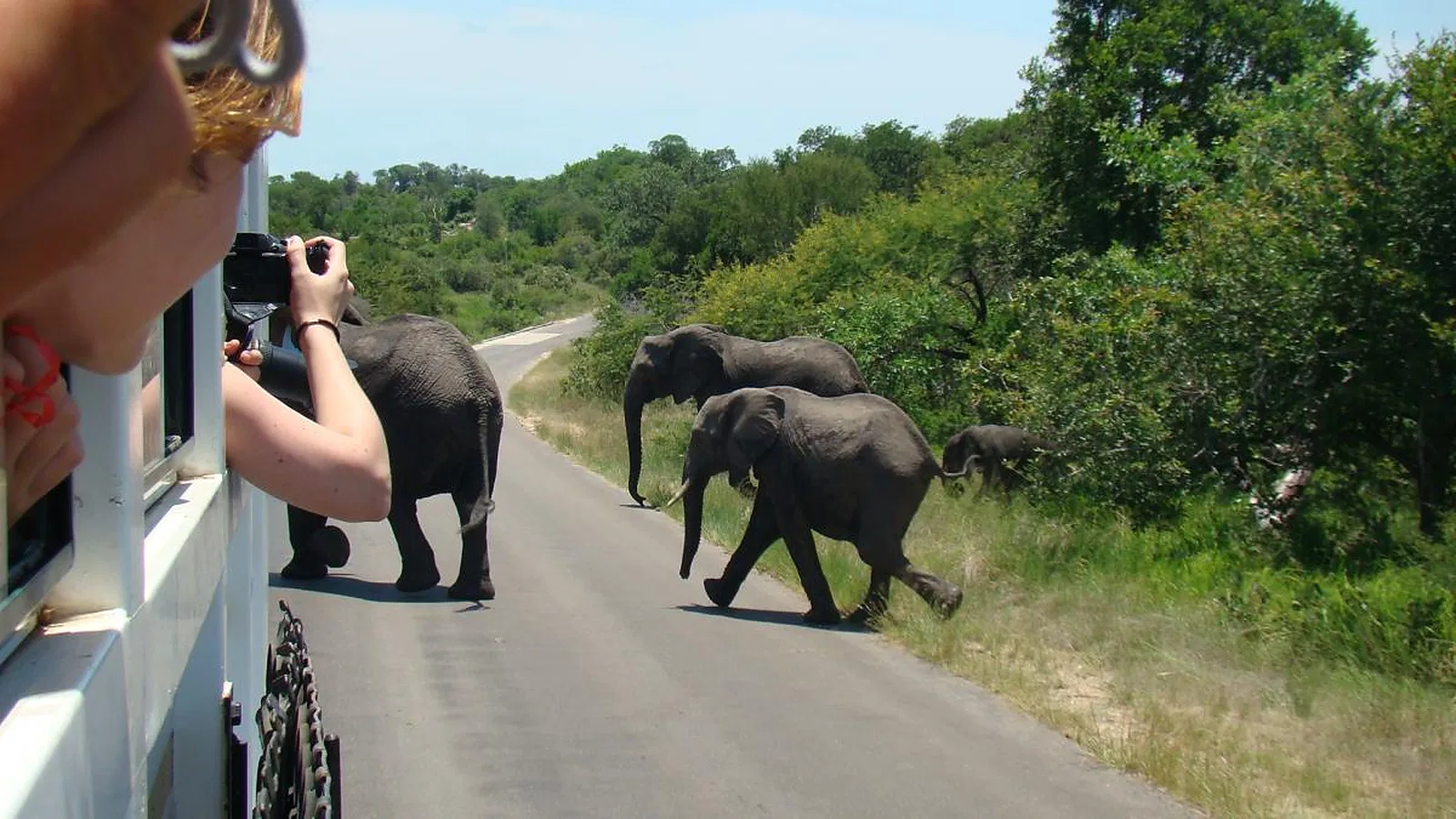 4 Days Photography Tanzania Safari 2026 to 2027: Lake Manyara Serengeti Ngorongoro