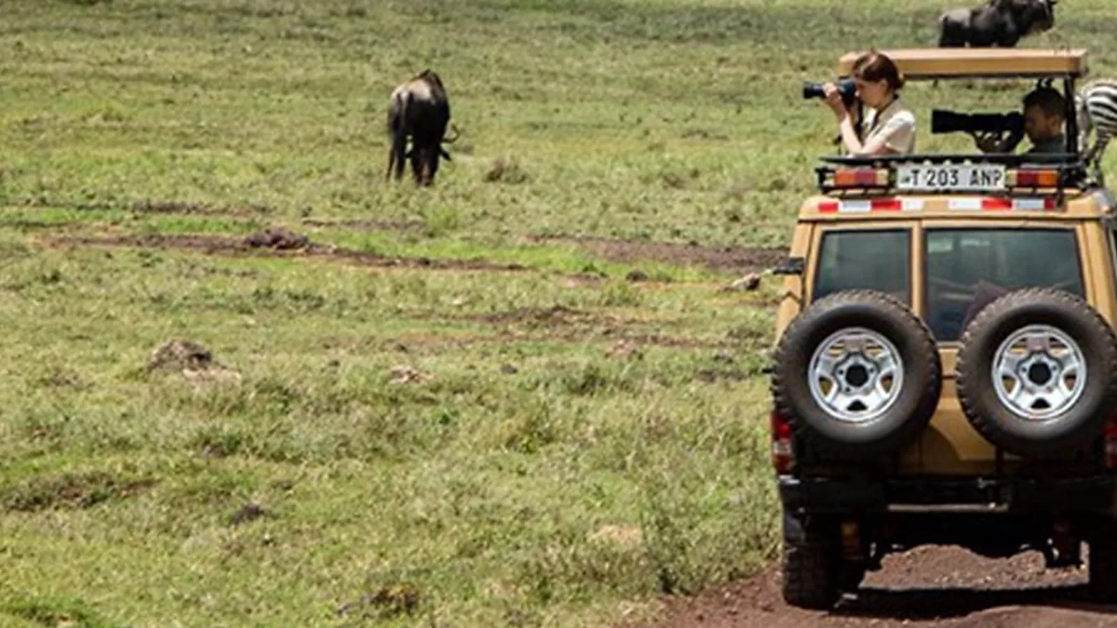 5 Days Classic Northern Circuit Tanzania Safari 2026 to 2027: Tarangire Ndutu Ngorongoro
