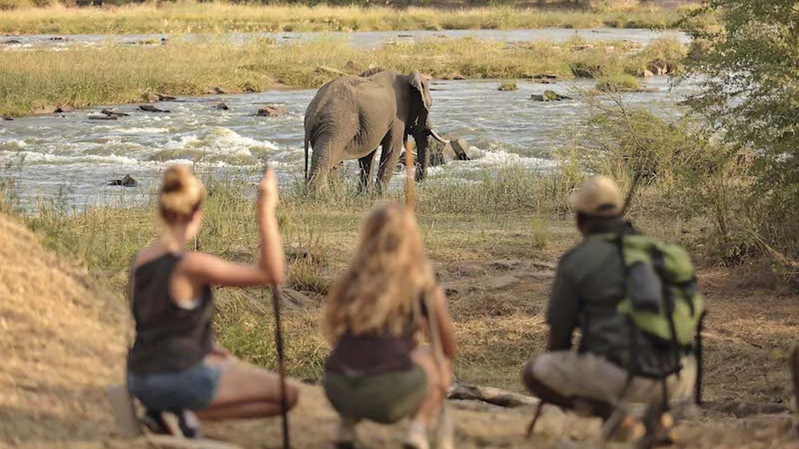 7 Days Classic Northern Circuit Tanzania Safari 2026 to 2027: Tarangire Serengeti Ngorongoro