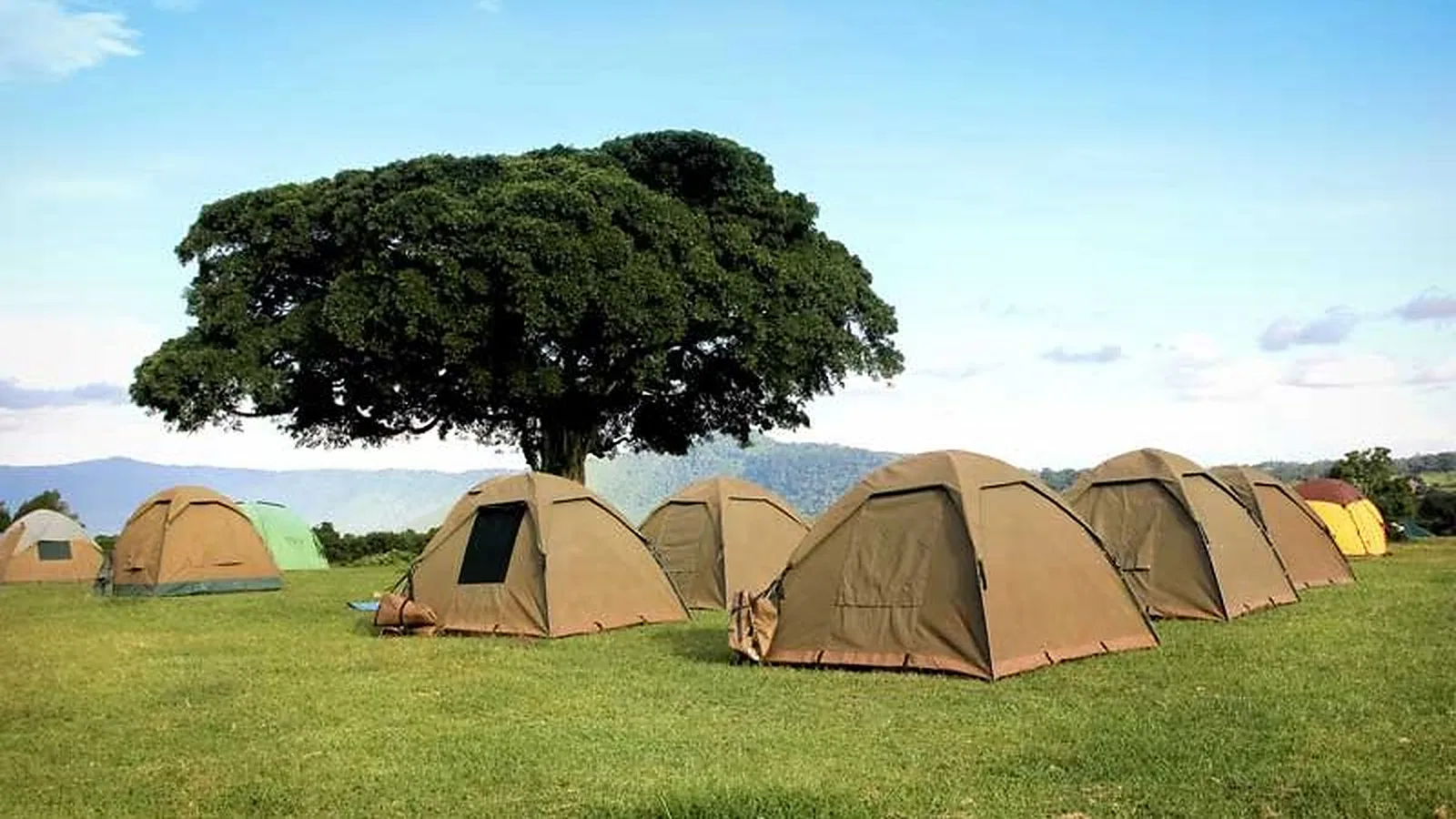 7 Days Honeymoon Tanzania Safari 2026 to 2027: Lake Eyasi Ngorongoro Serengeti