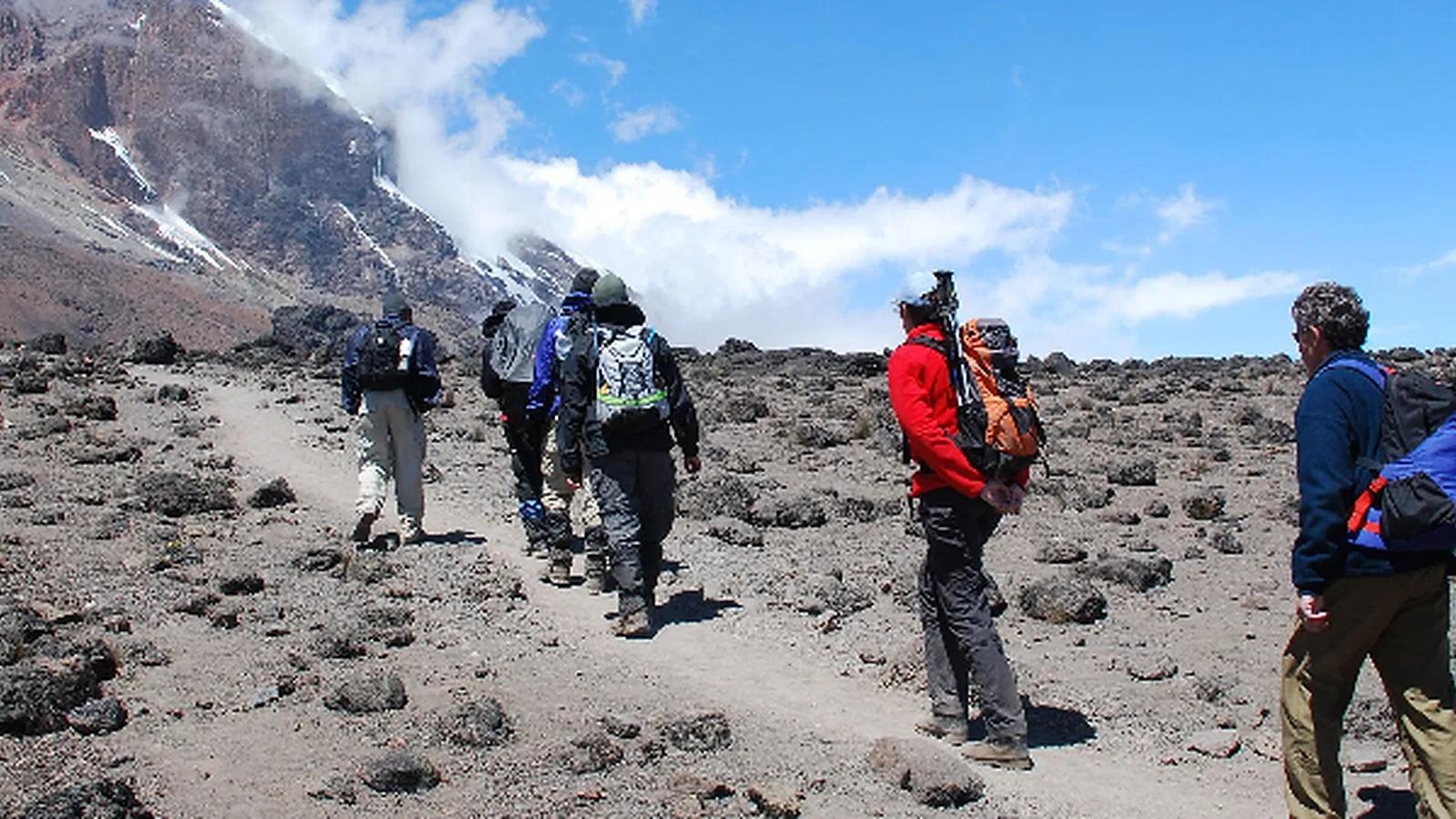 7 Days Rongai Route Kilimanjaro Comfort Climb 2026 to 2027