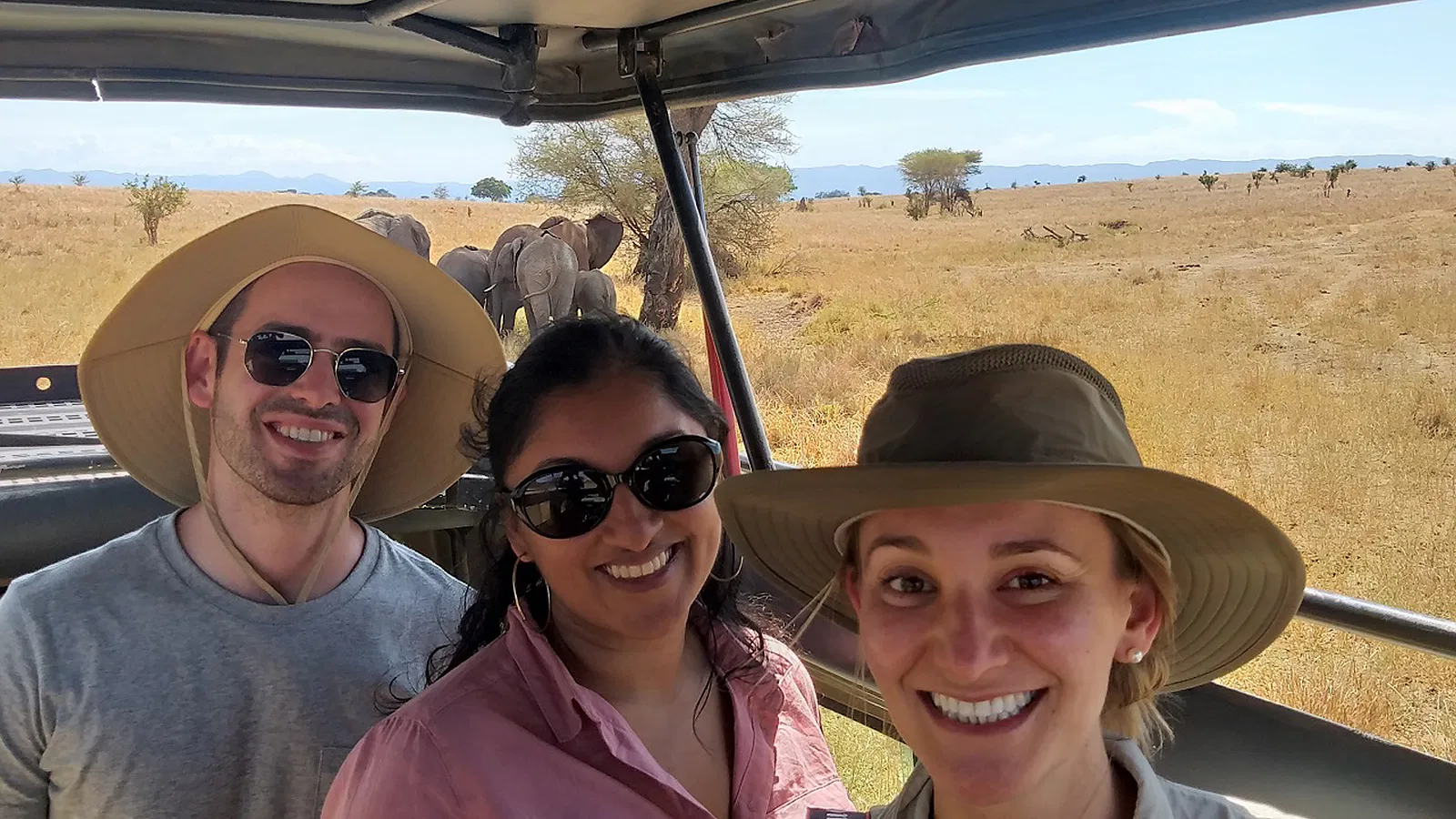 8 Days Comfort Lodge Tanzania Safari 2026 to 2027: Tarangire Ngorongoro