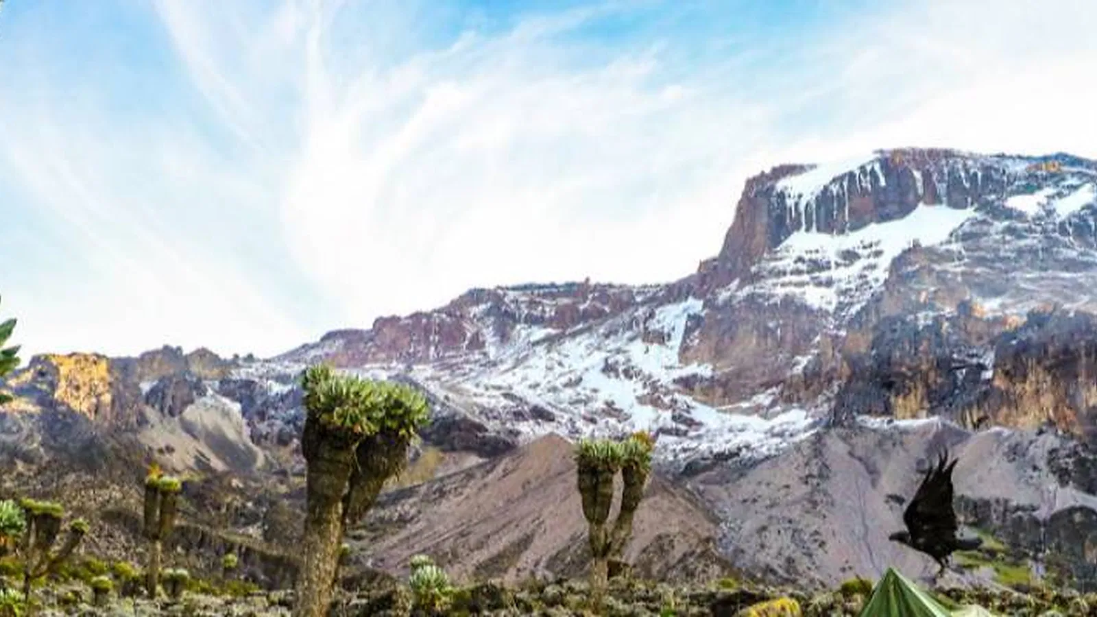 8 Days Lemosho Route Kilimanjaro Acclimatization Focused Climb 2026 to 2027