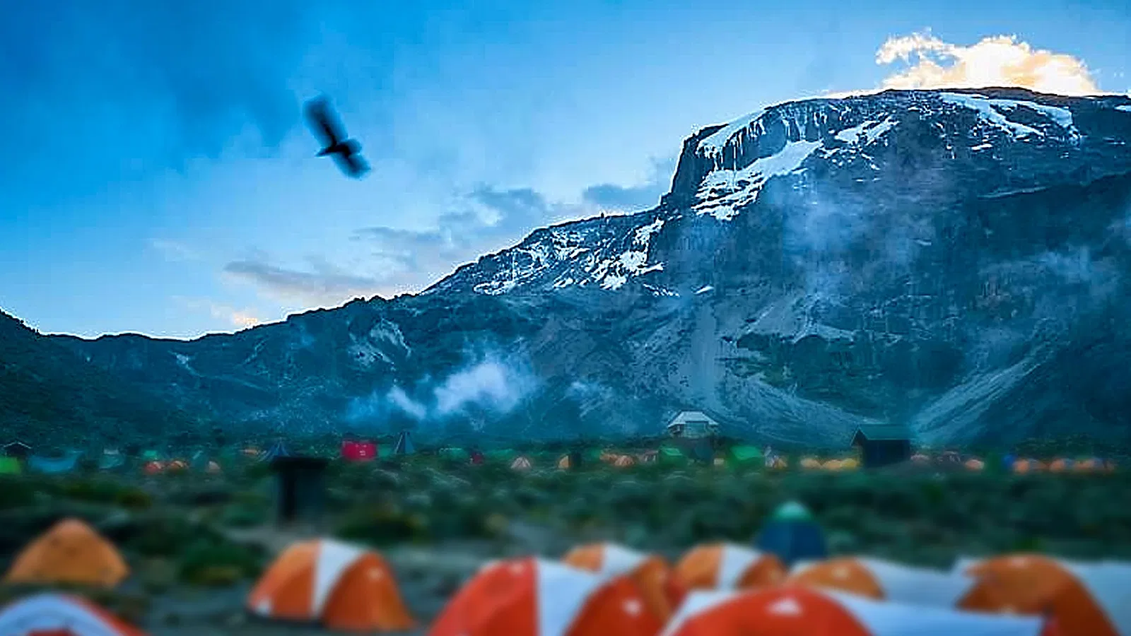 8 Days Lemosho Route Kilimanjaro Private Climb 2026 to 2027