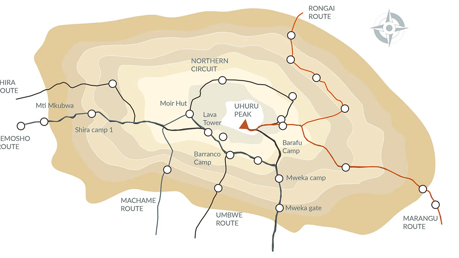 8 Days Rongai Route Kilimanjaro Premium Climb 2026 to 2027