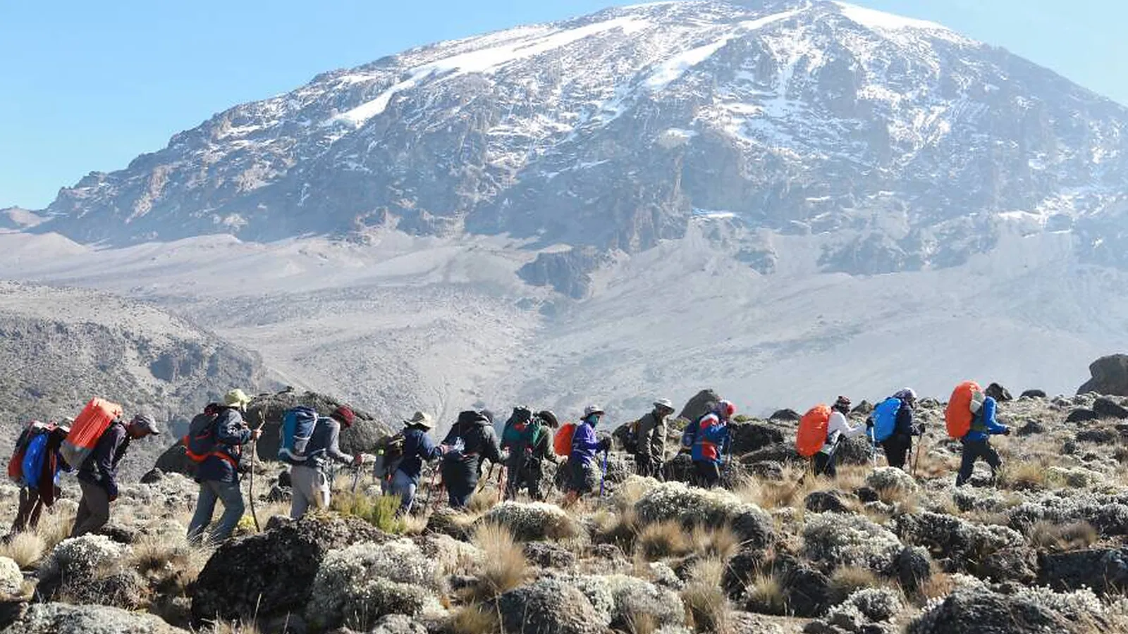 9 Days Lemosho Route Kilimanjaro Budget Climb 2026 to 2027