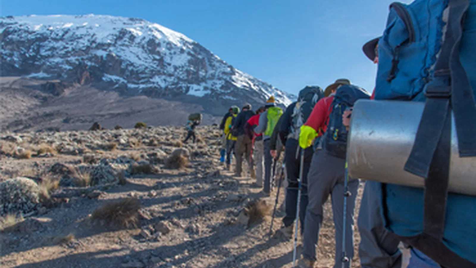 9 Days Lemosho Route Kilimanjaro Group Joining Climb 2026 to 2027