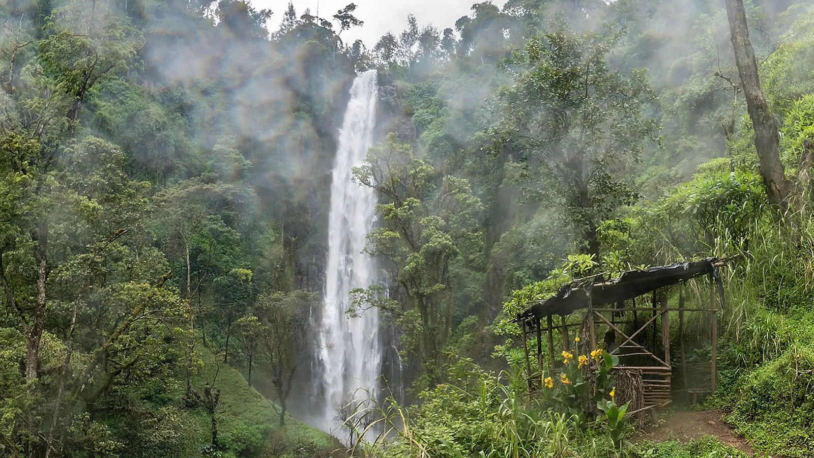 From Arusha: 1 Day Materuni Waterfalls and Coffee Tour Tour with Local Guide