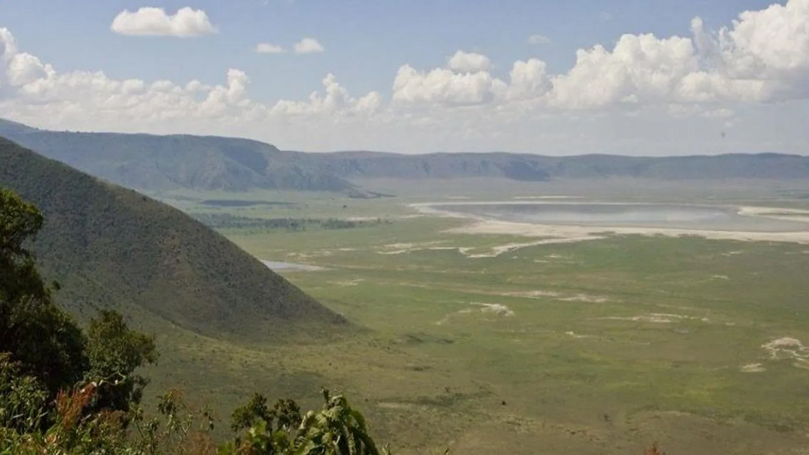 From Arusha: 1 Day Ngorongoro Crater Tour with Local Guide