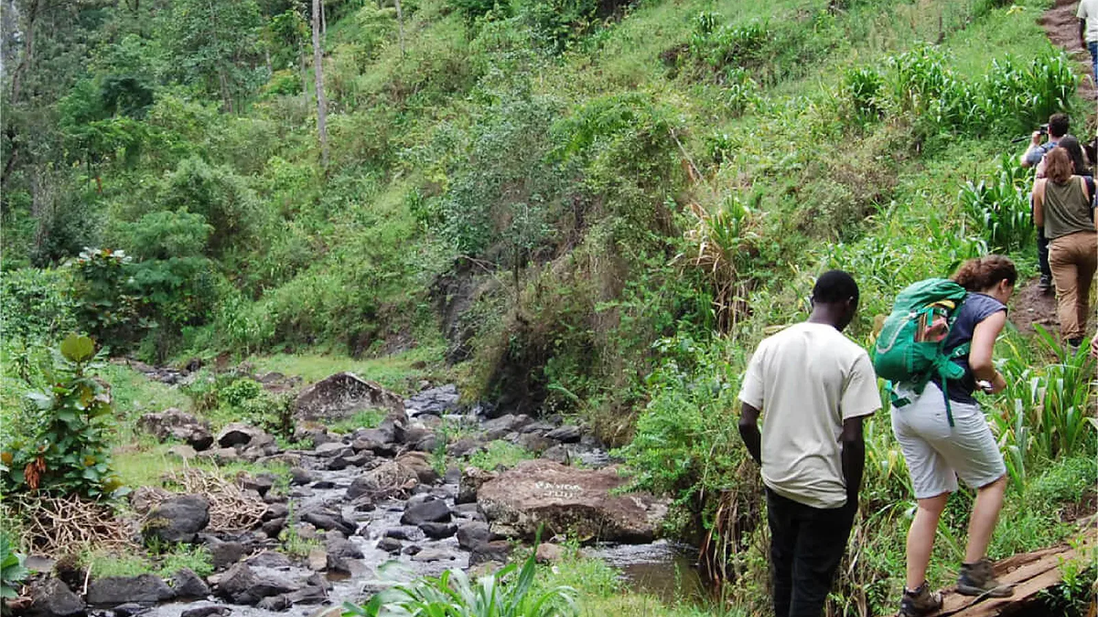 From Arusha: 1 Day Private Rau Forest Nature Walk Trip