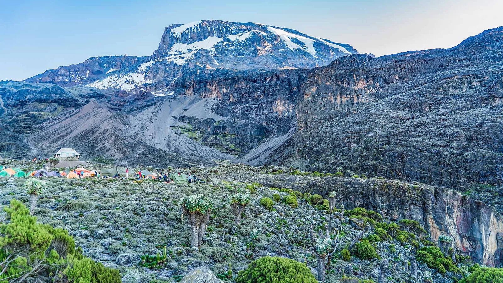 From Arusha: 6 Days Umbwe Route Kilimanjaro Comfort Climb 2026 to 2027