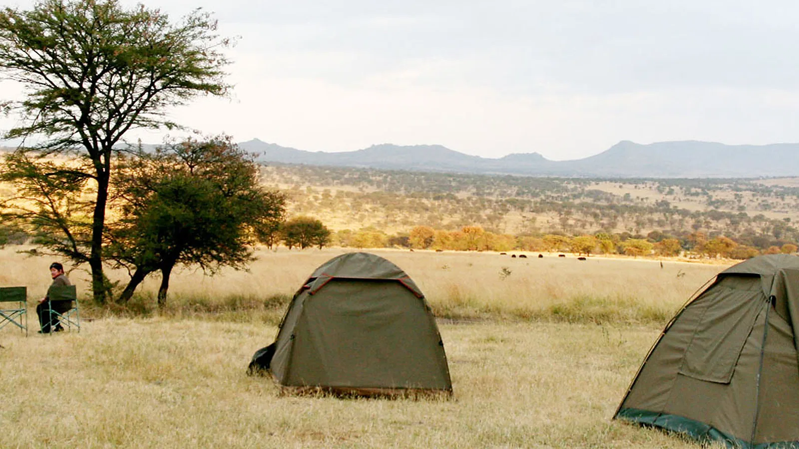 From Kilimanjaro Airport JRO: 10 Days Budget Camping Tanzania Safari 2026 to 2027: Lake Manyara Serengeti Ngorongoro