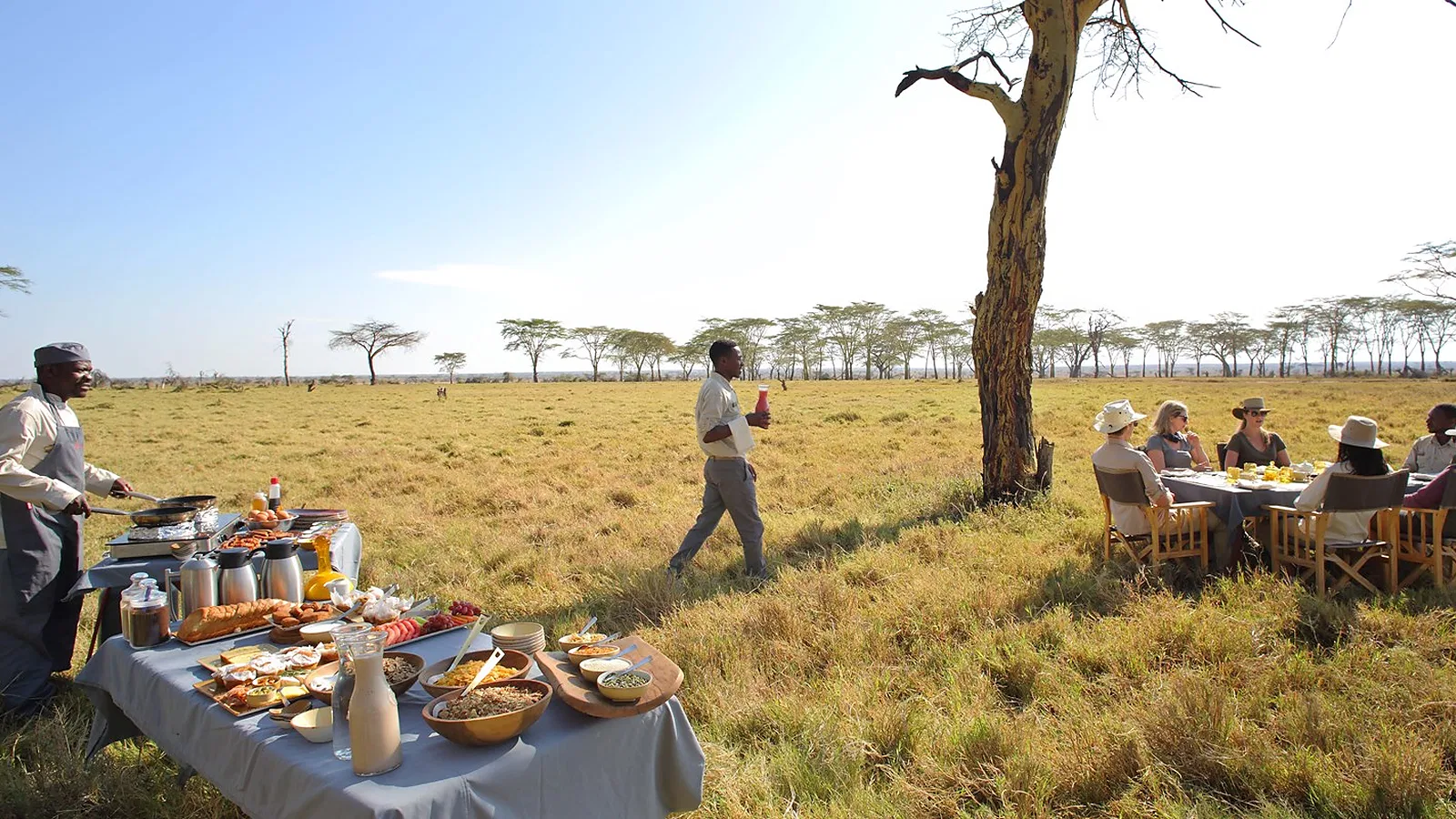 From Kilimanjaro Airport JRO: 2 Days Comfort Lodge Tanzania Safari 2026 to 2027: Tarangire Serengeti Ngorongoro