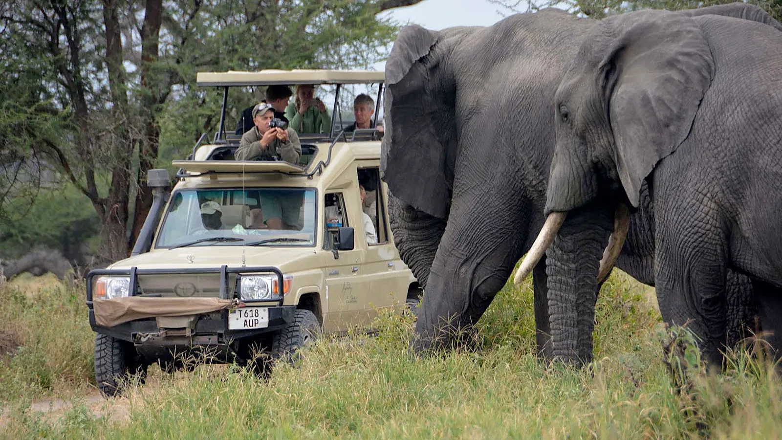 From Kilimanjaro Airport JRO: 5 Days Comfort Lodge Tanzania Safari 2026 to 2027: Lake Manyara Serengeti Ngorongoro