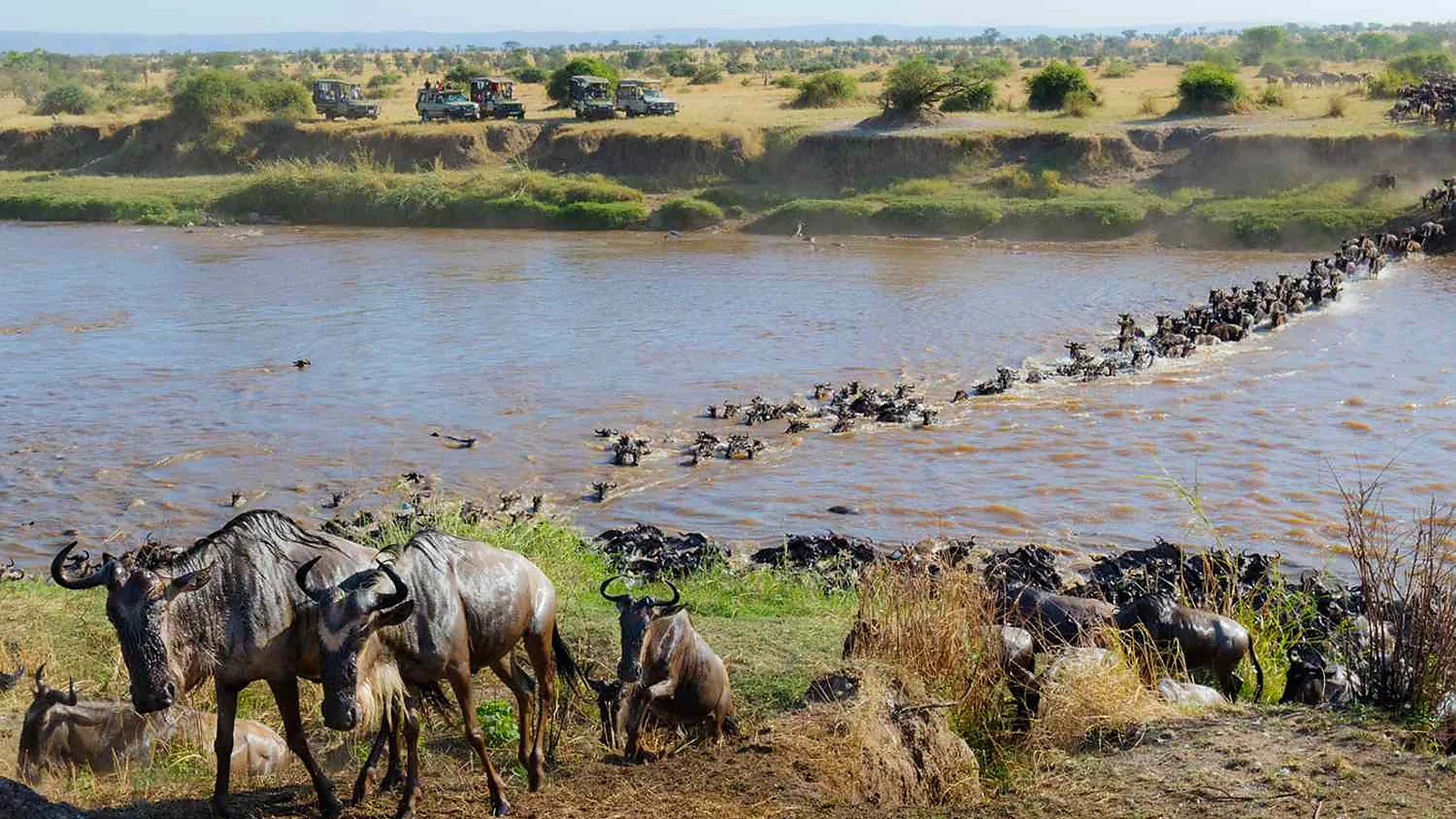 From Kilimanjaro Airport JRO: 7 Days Great Migration Tanzania Safari 2026 to 2027: Tarangire Serengeti Ngorongoro