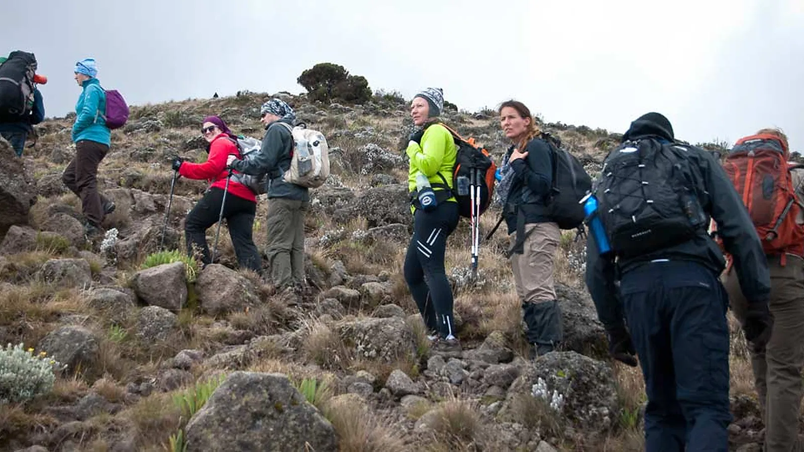 From Kilimanjaro Airport JRO: 7 Days Marangu Route Kilimanjaro Budget Climb 2026 to 2027