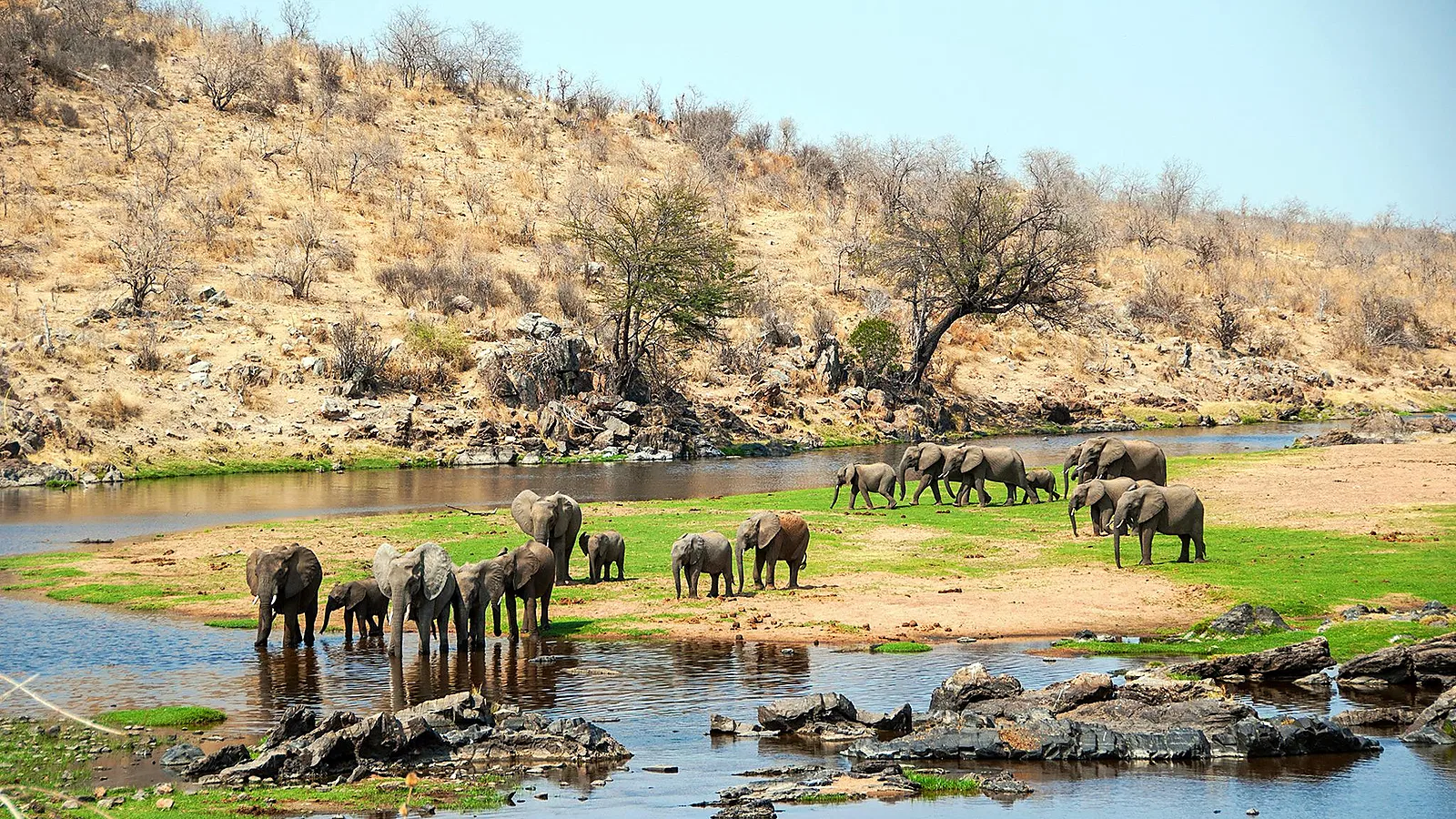 From Kilimanjaro Airport JRO: 8 Days Private Tanzania Safari 2026 to 2027: Tarangire Serengeti Ngorongoro