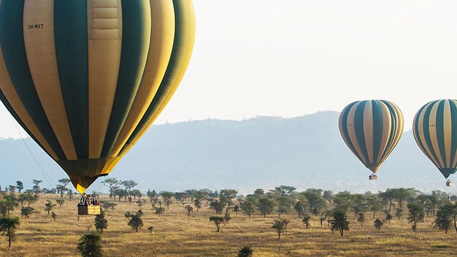 From Moshi: 1 Day Hot Air Balloon Safari Experience Tour with Local Guide