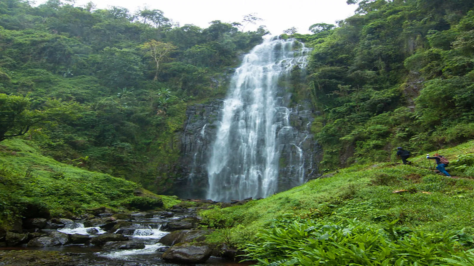 From Moshi: 1 Day Materuni Waterfall Hike and Coffee Experience