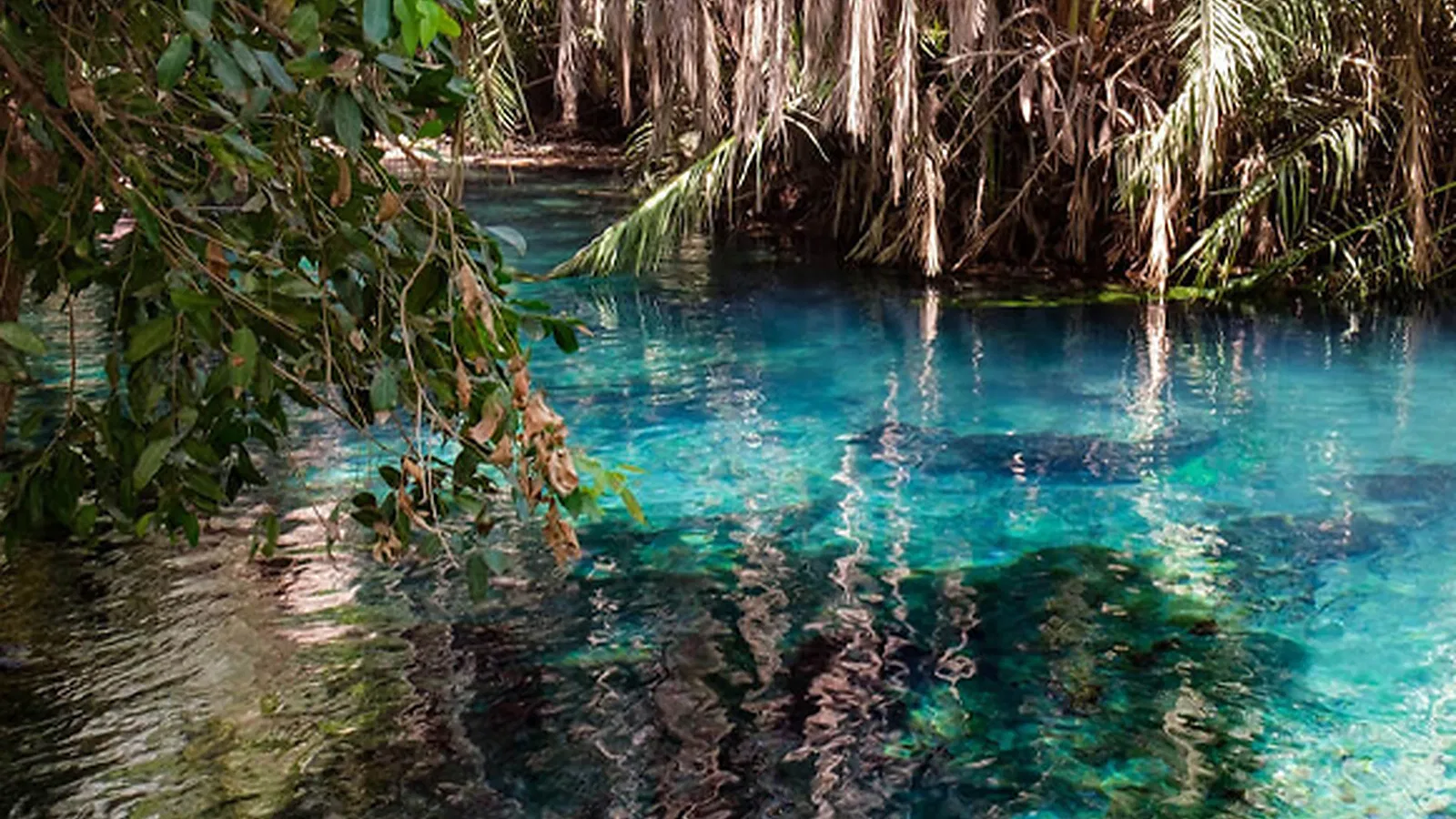 From Moshi: 1 Day Private Chemka Hot Springs Trip