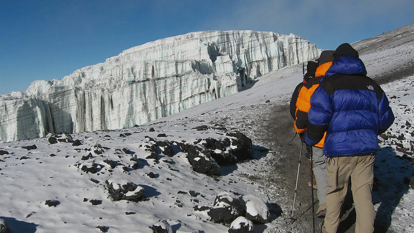 From Moshi: 1 Day Shira Plateau Kilimanjaro Day Hike Tour with Local Guide