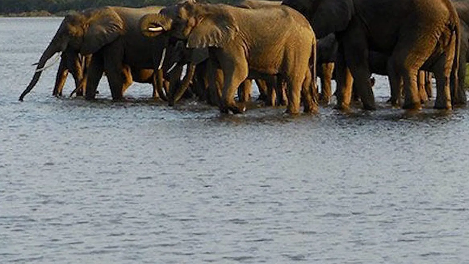 From Zanzibar: 10 Days Photography Tanzania Safari 2026 to 2027: Lake Natron Serengeti Ngorongoro