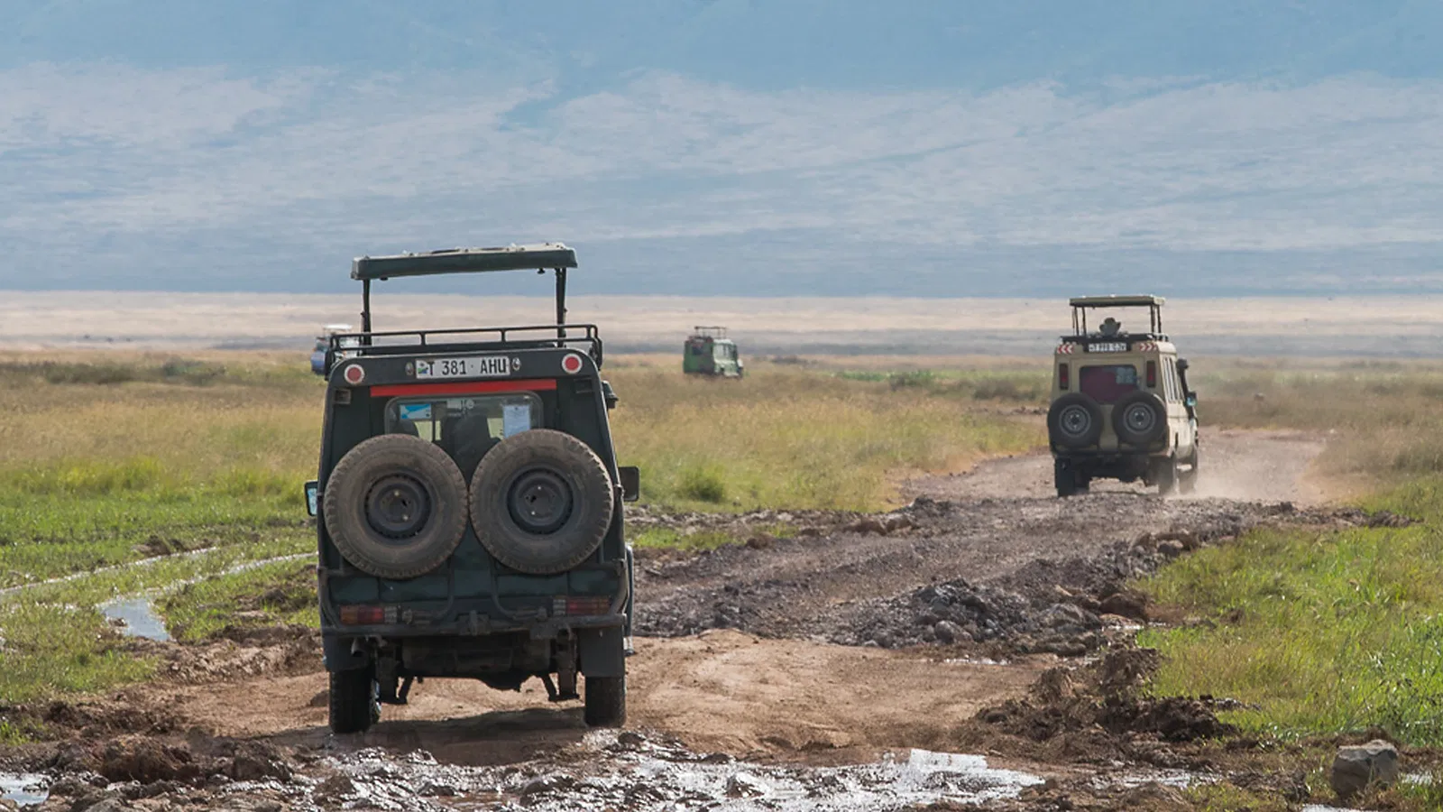 From Zanzibar: 2 Days Midrange Lodge Tanzania Safari 2026 to 2027: Tarangire Serengeti Ngorongoro