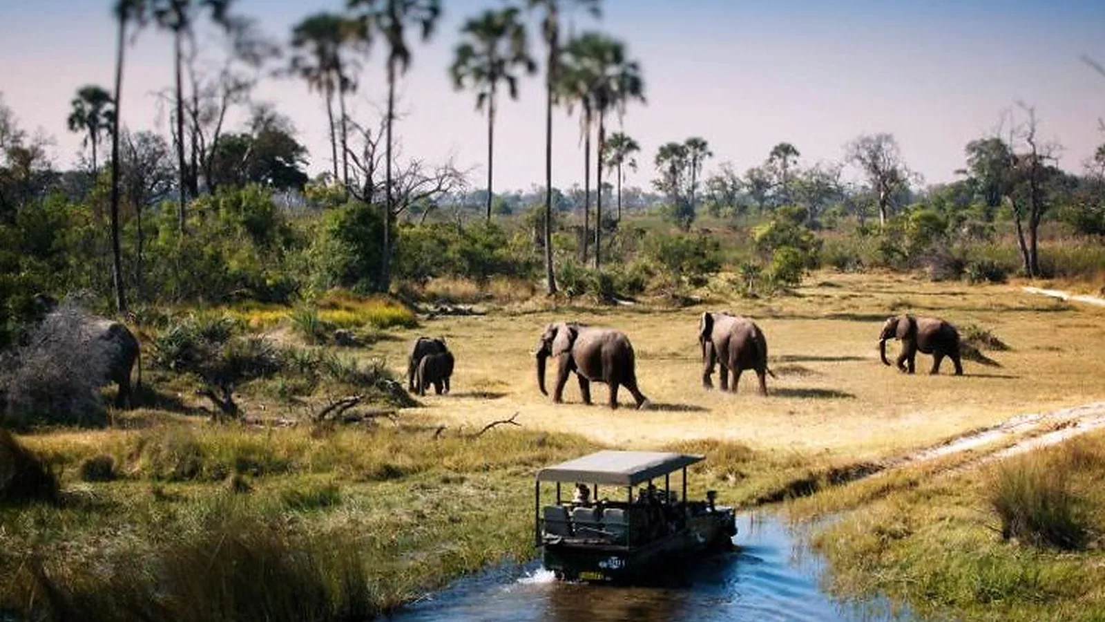 From Zanzibar: 3 Days Luxury Lodge Tanzania Safari 2026 to 2027: Arusha Tarangire Serengeti