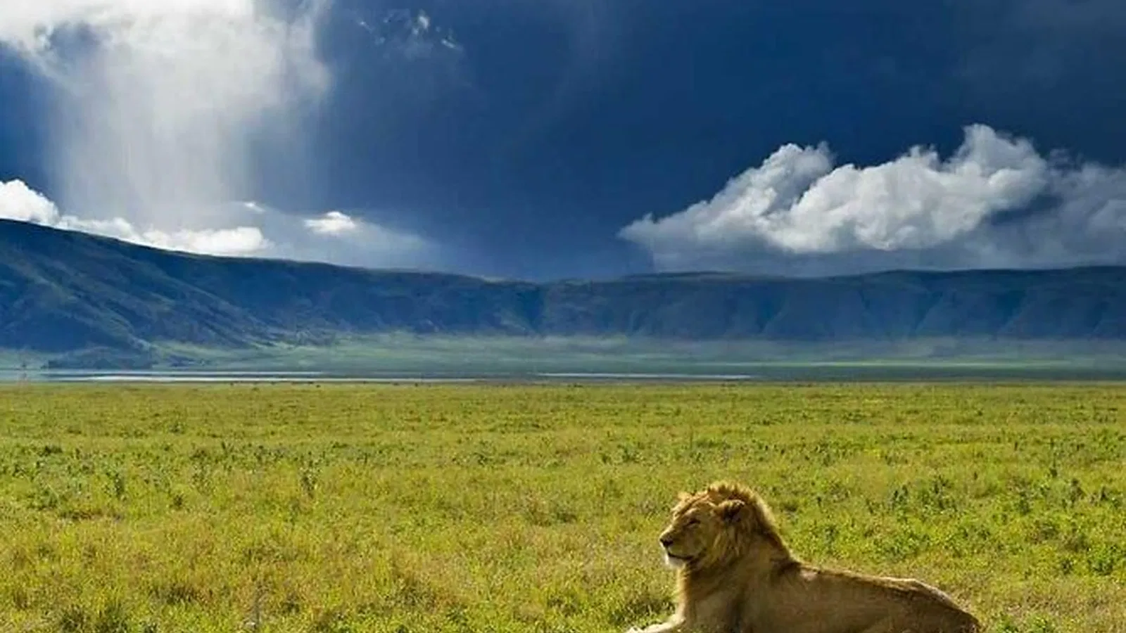 From Zanzibar: 5 Days Luxury Lodge Tanzania Safari 2026 to 2027: Lake Manyara Serengeti Ngorongoro
