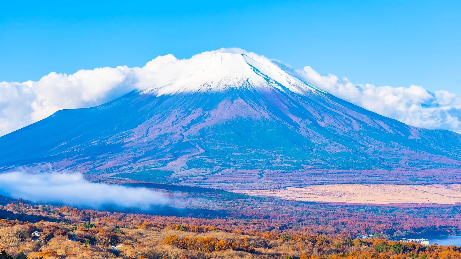 Affordable Kilimanjaro Group Climbs 2026: Join Trekkers from Around the World