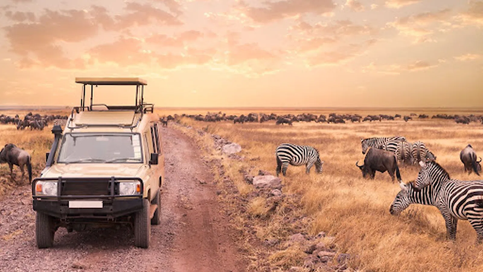 Best Time for Tanzania Safari 2026 to 2027: Weather Wildlife and Park Seasons