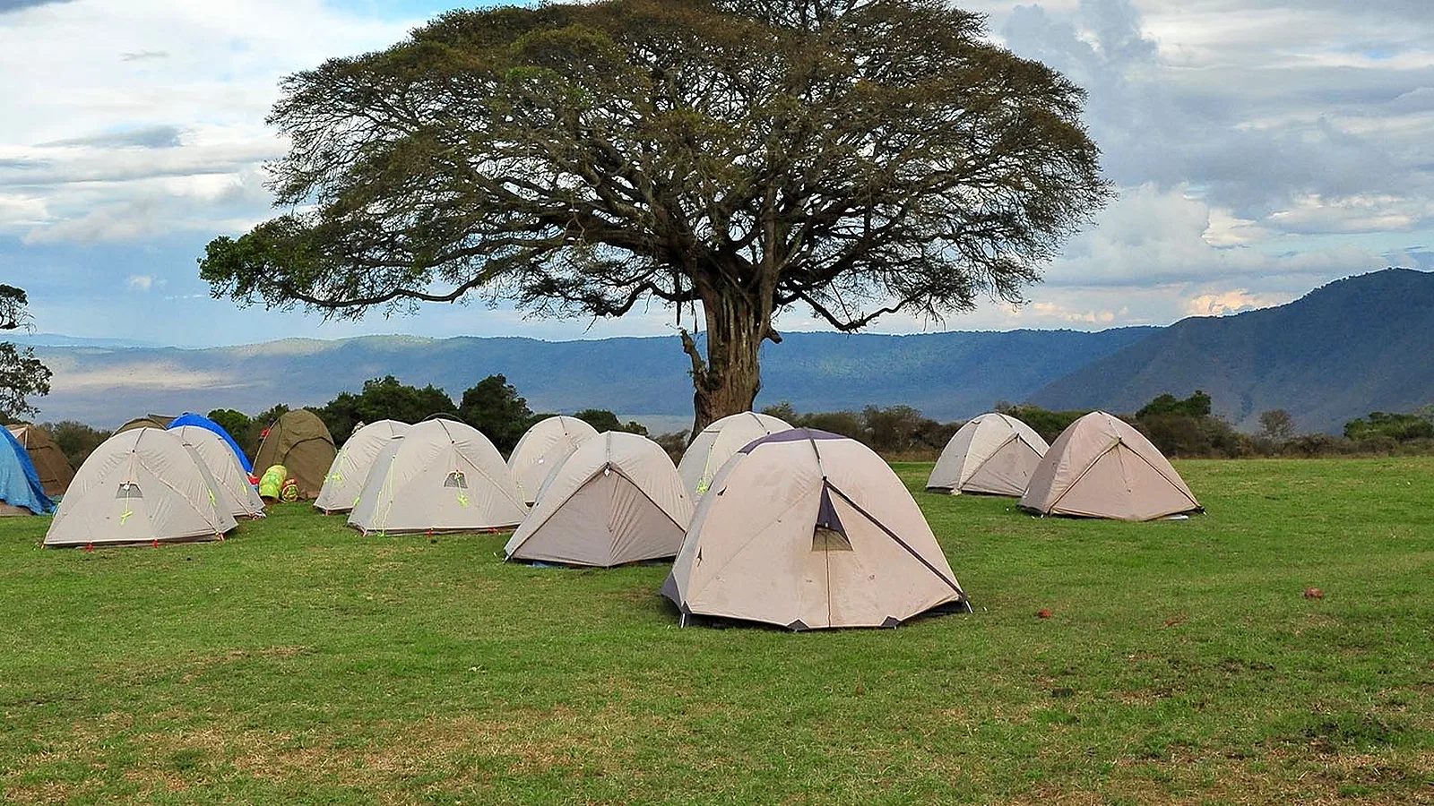 How to Combine Serengeti Safari and Zanzibar Beach Holiday