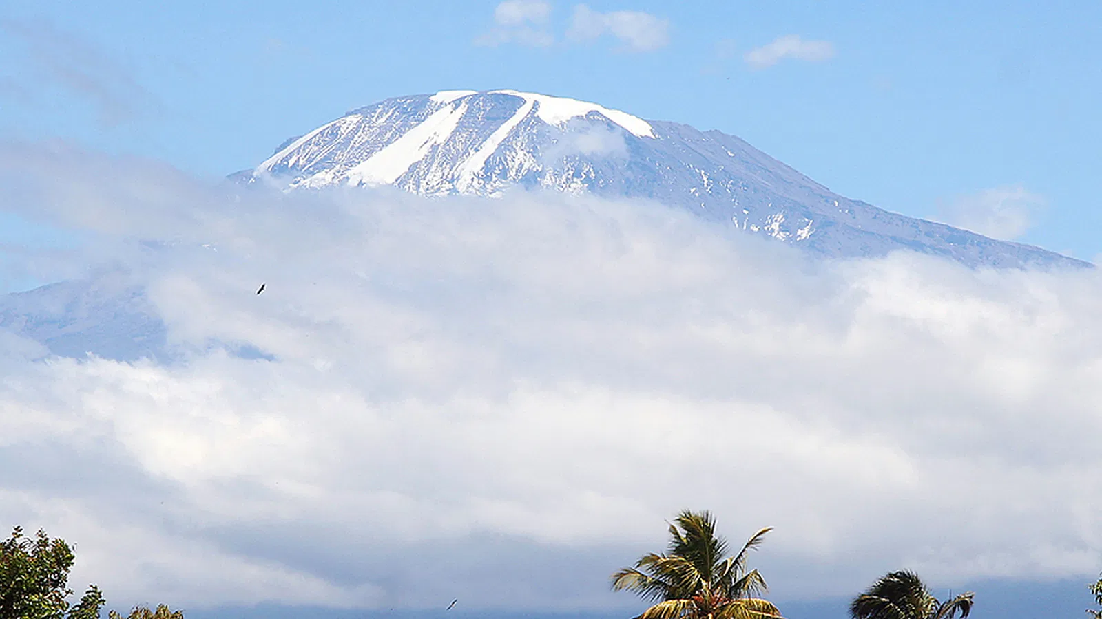 Kilimanjaro Climb 2026 to 2027: Cost and Value Guide